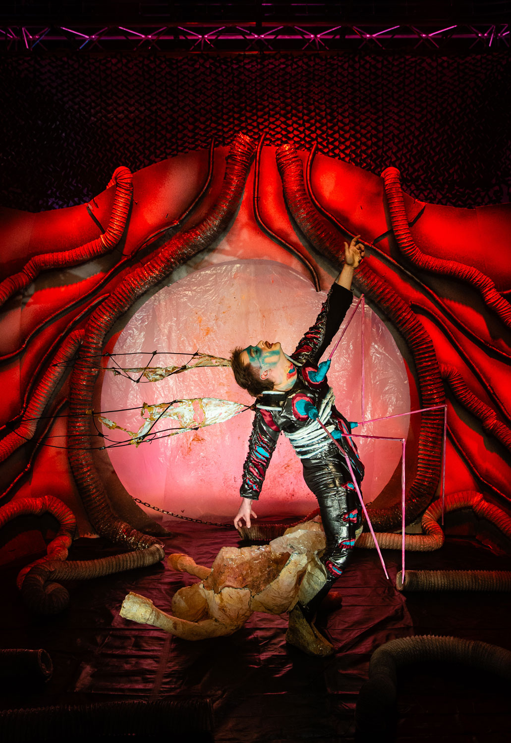 James metamorphosises