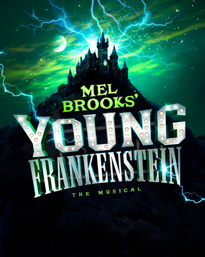 Young Frankenstein poster
